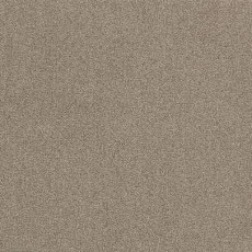 Ковровая плитка Balsan Dolce Vita Balsan Dolce Vita 640 фото 1 | FLOORDEALER